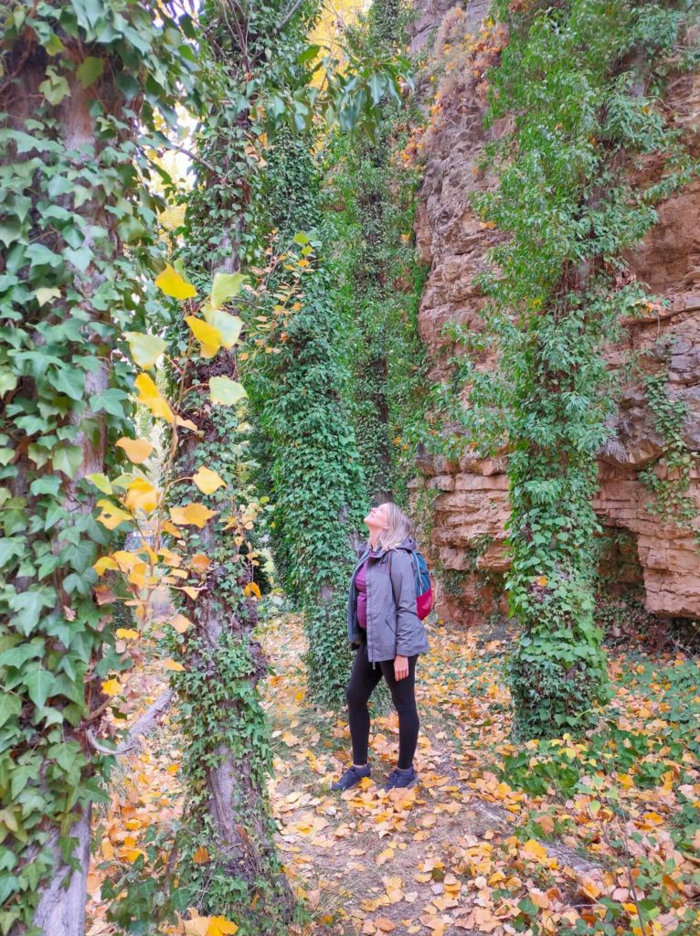 sendero del parque fluvial de Guadalaviar
